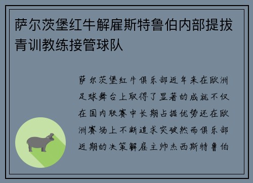 萨尔茨堡红牛解雇斯特鲁伯内部提拔青训教练接管球队 萨尔茨堡红牛解雇斯特鲁伯内部提拔青训教练接管球队